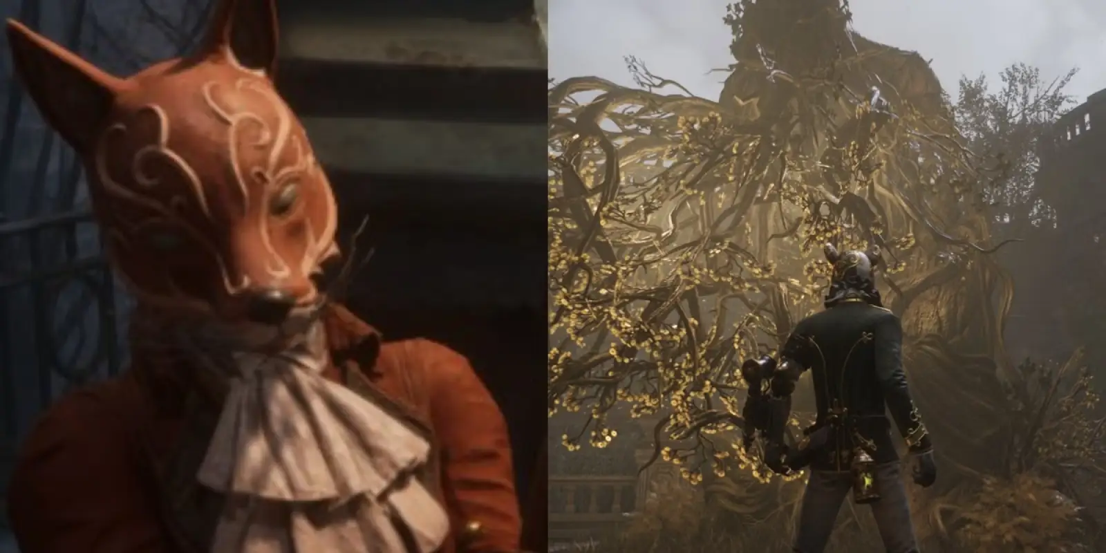 Reward Comparison